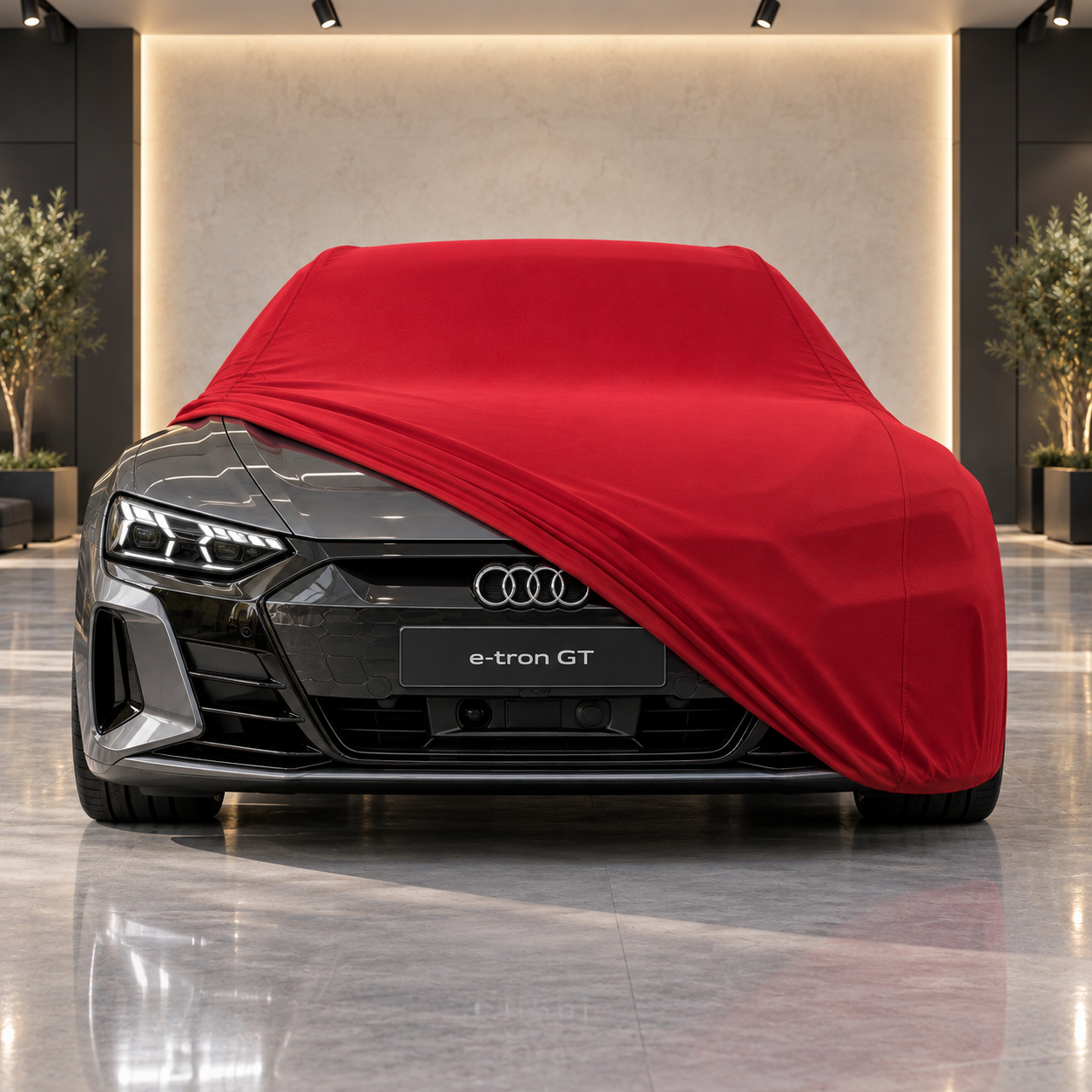 Audi e-tron GT 2021-2024 Araba Brandası Yazlık Kumaş Oto Branda – Araca Özel Uyum